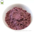 Großhandel Blueberry Extract Saftpulver